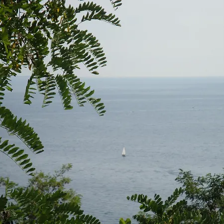 Bed and Breakfast Le 5 Muse