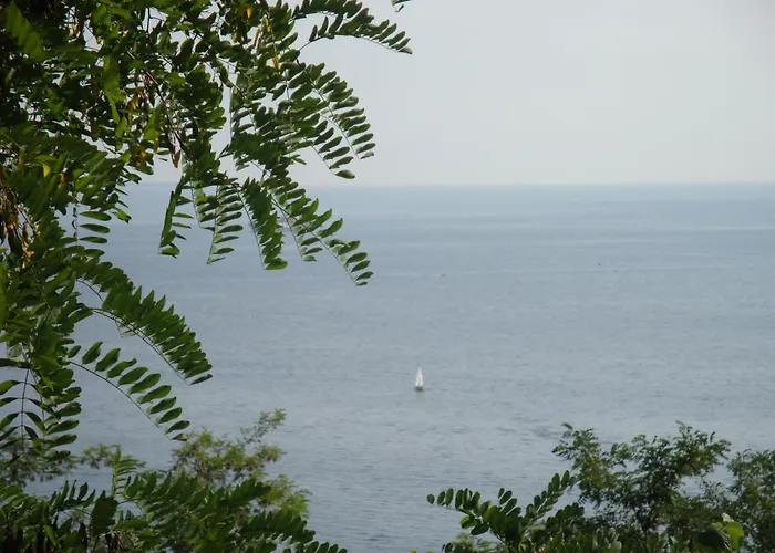 فندق مبيت وإفطار Le 5 Muse